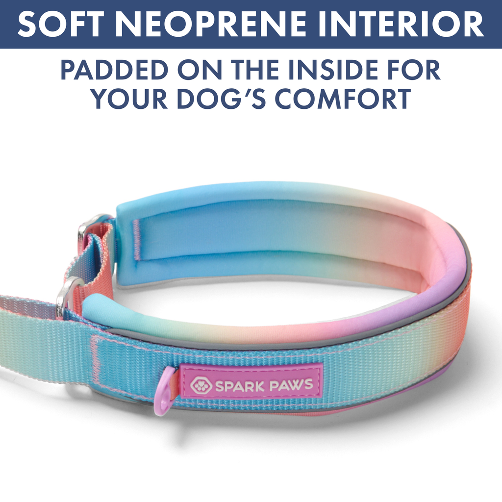 Martingale Dog Collar Set product image 25