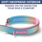 Martingale Dog Collar Set product image 25