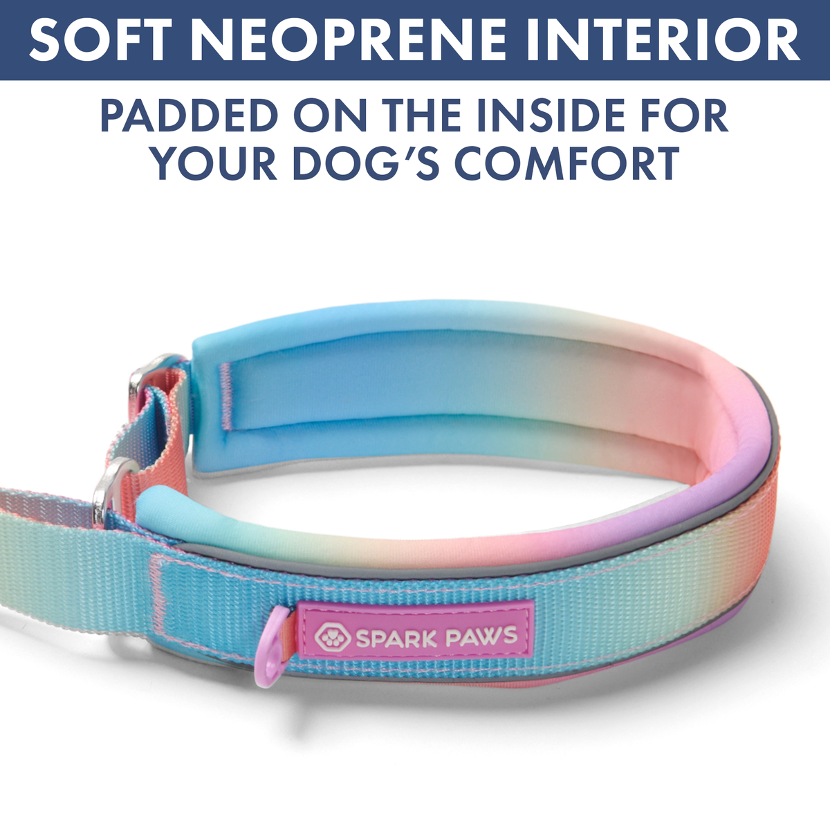 Martingale Dog Collar Set product image 25