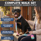 Martingale Dog Collar Set product image 26