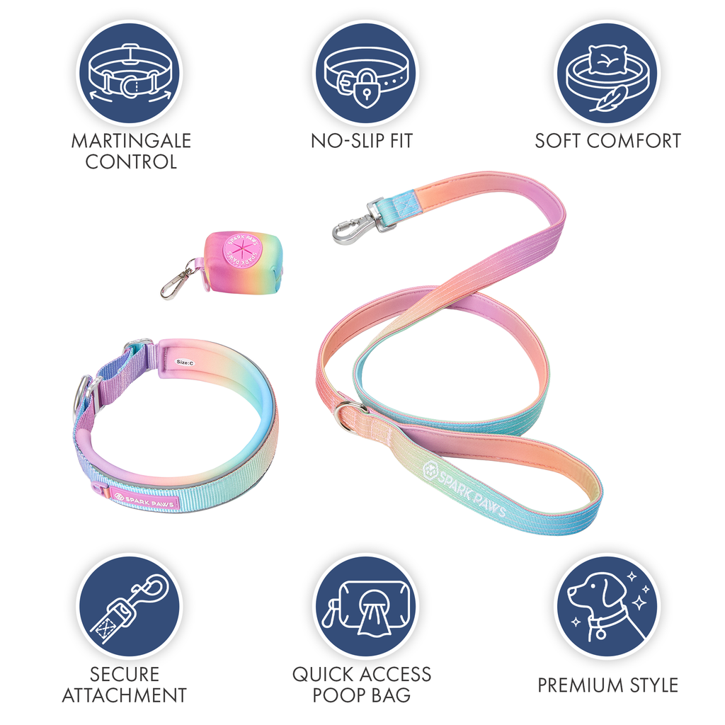 Martingale Dog Collar Set product image 27