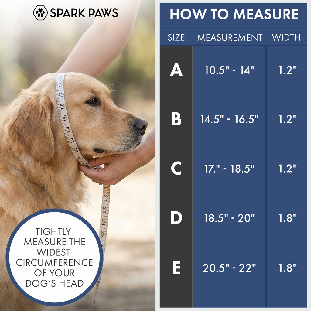 Martingale Dog Collar Set product image 28