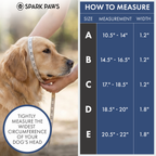 Martingale Dog Collar Set product image 28