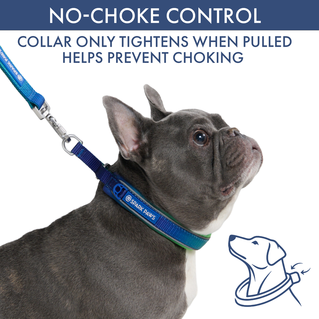 Martingale Dog Collar Set product image 31