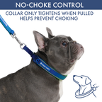 Martingale Dog Collar Set product image 31
