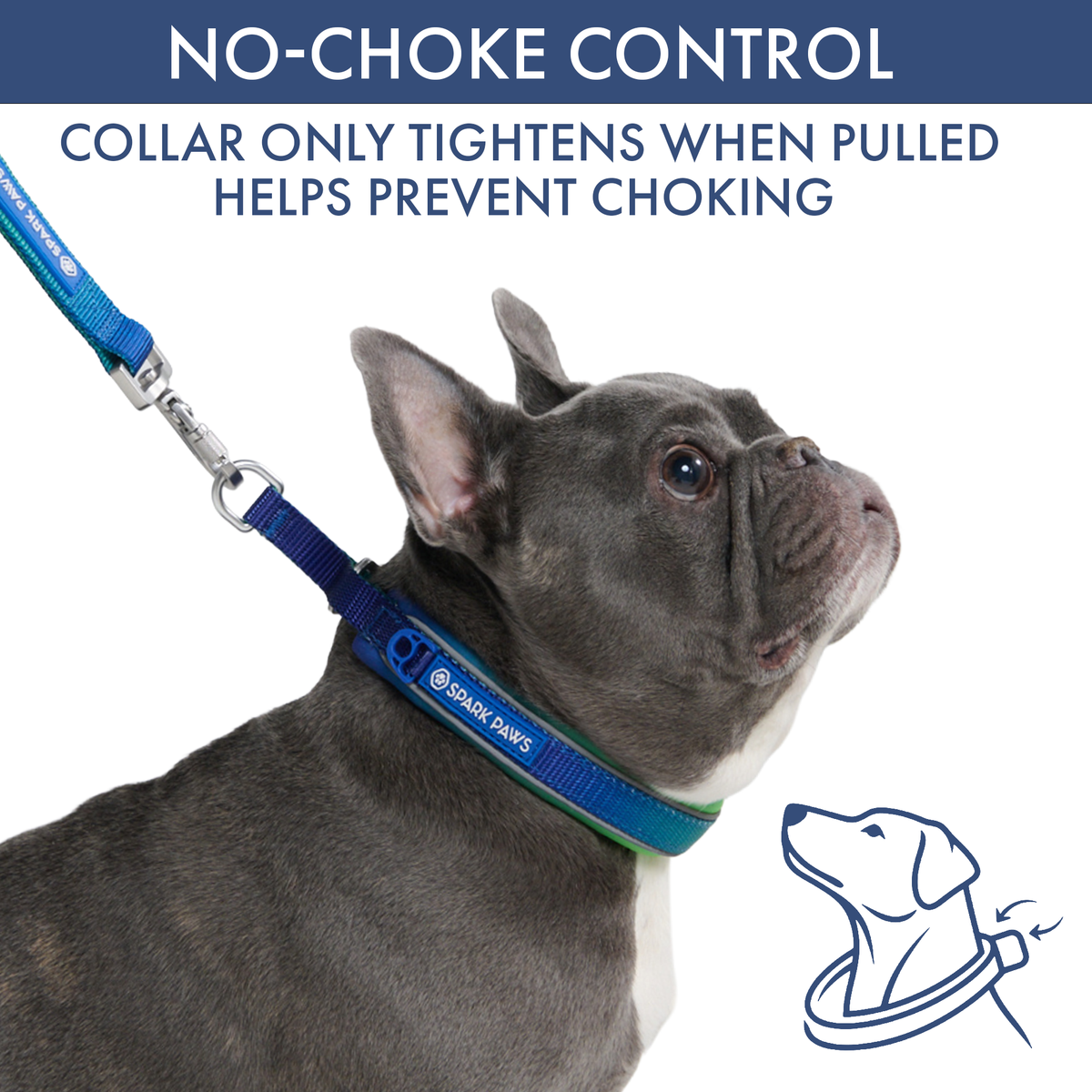 Martingale Dog Collar Set product image 31