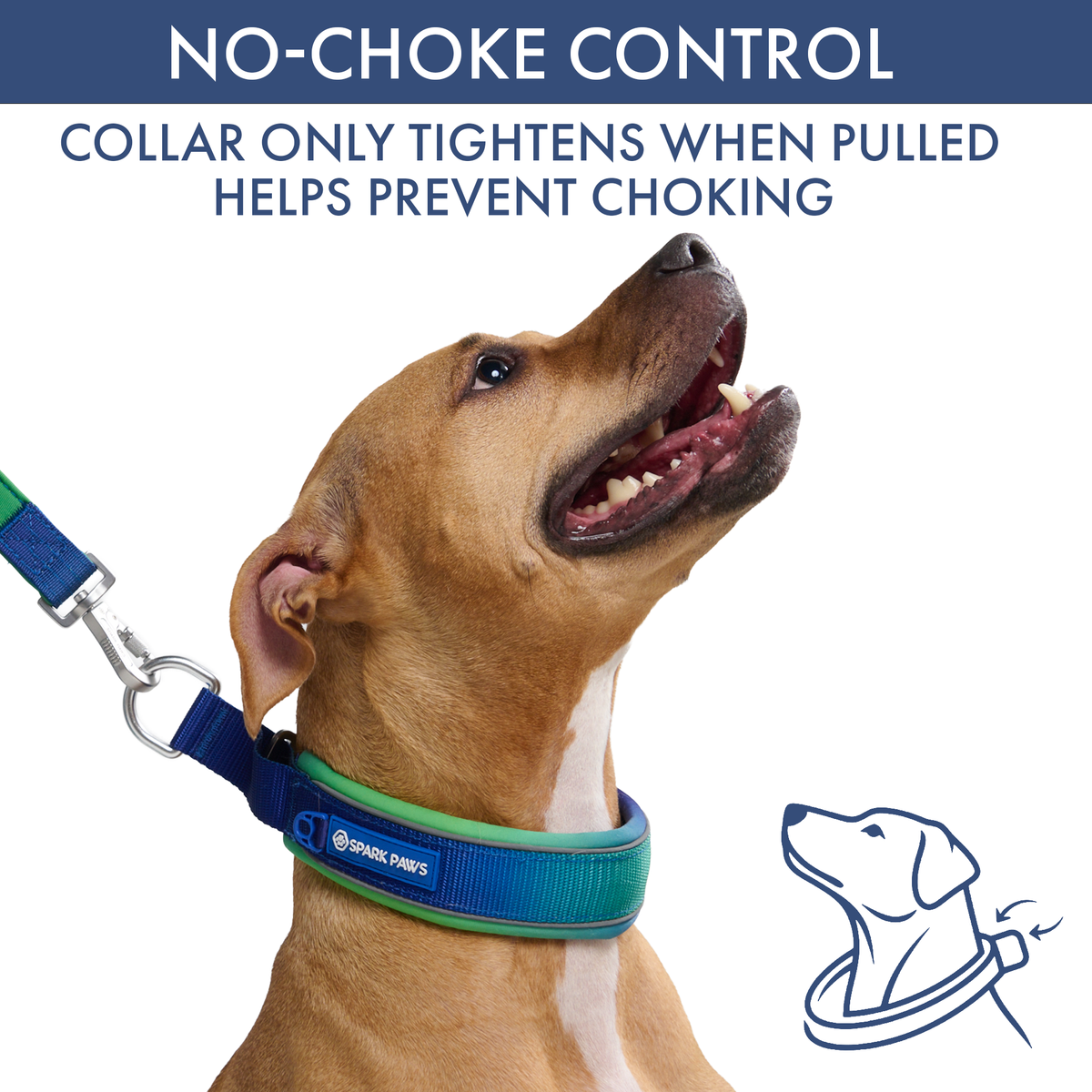 Martingale Dog Collar Set product image 32