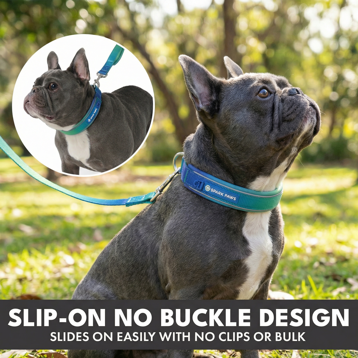 Martingale Dog Collar Set product image 33