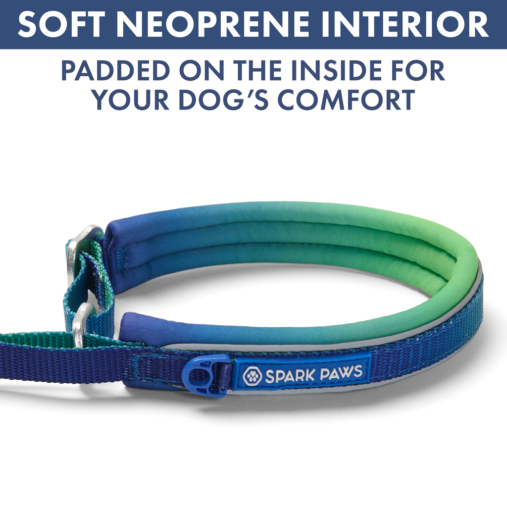 Martingale Dog Collar Set product image 35