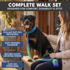 Martingale Dog Collar Set product image 36
