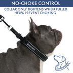 Martingale Dog Collar Set product image 40