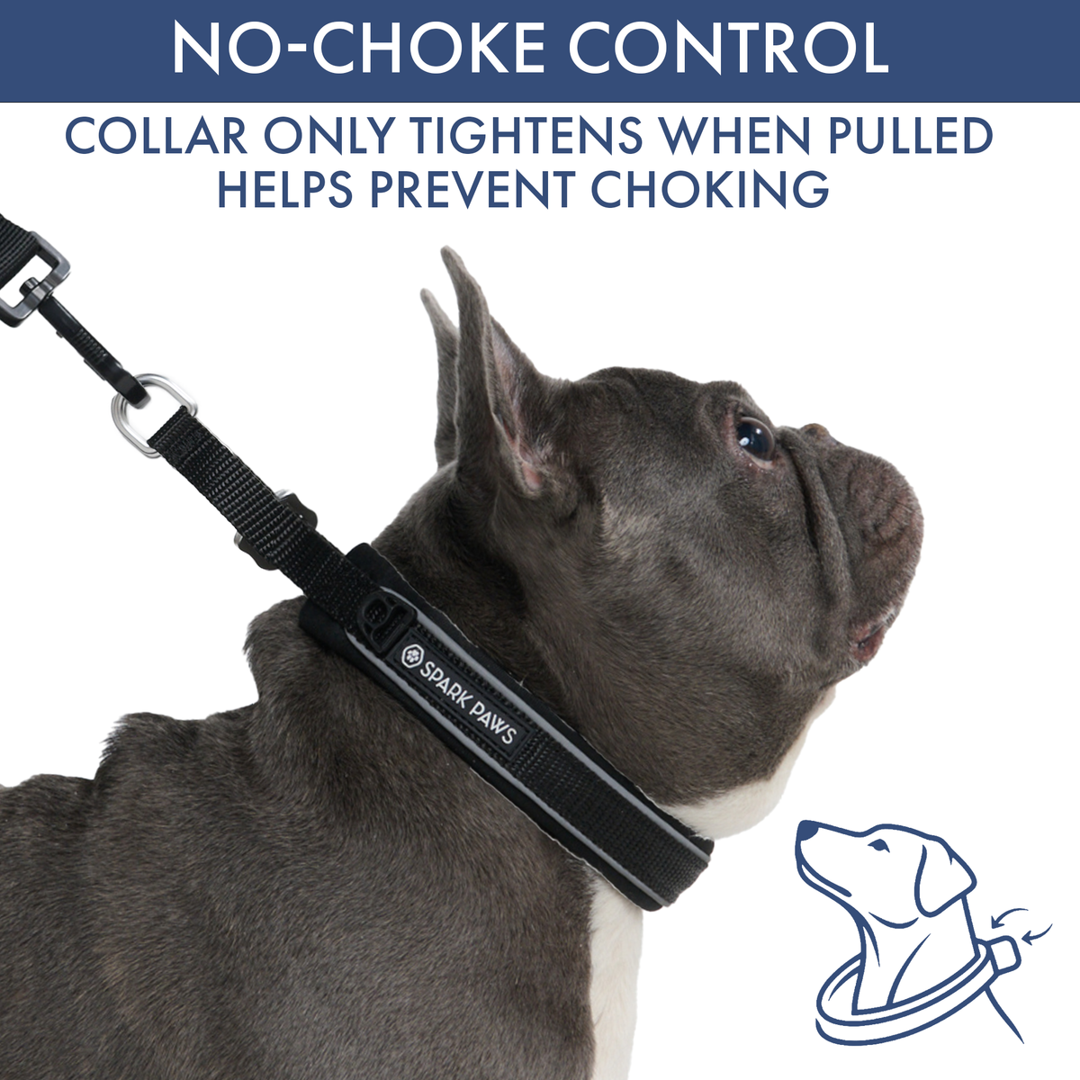 Martingale Dog Collar Set product image 40