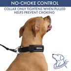 Martingale Dog Collar Set product image 41