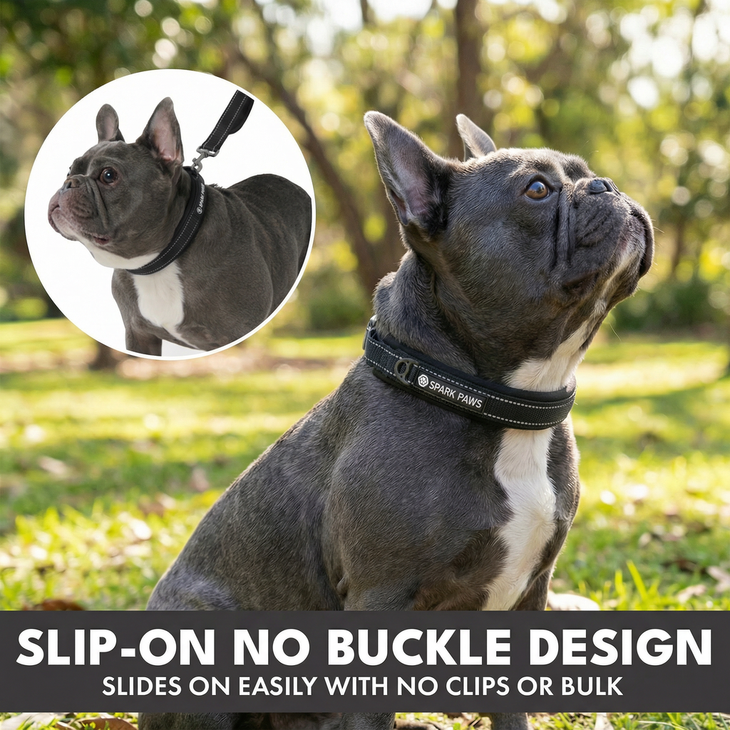 Martingale Dog Collar Set product image 42