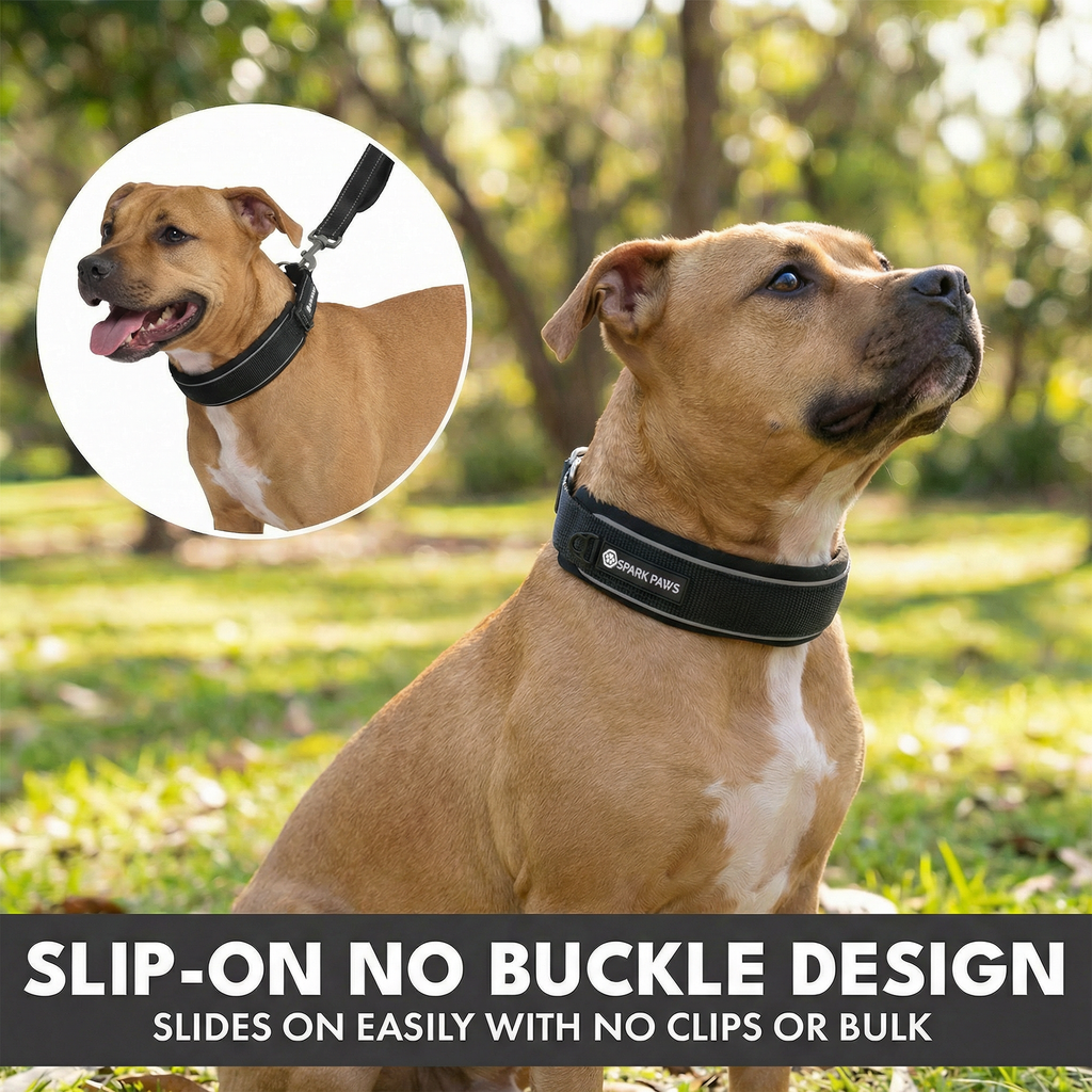 Martingale Dog Collar Set product image 43