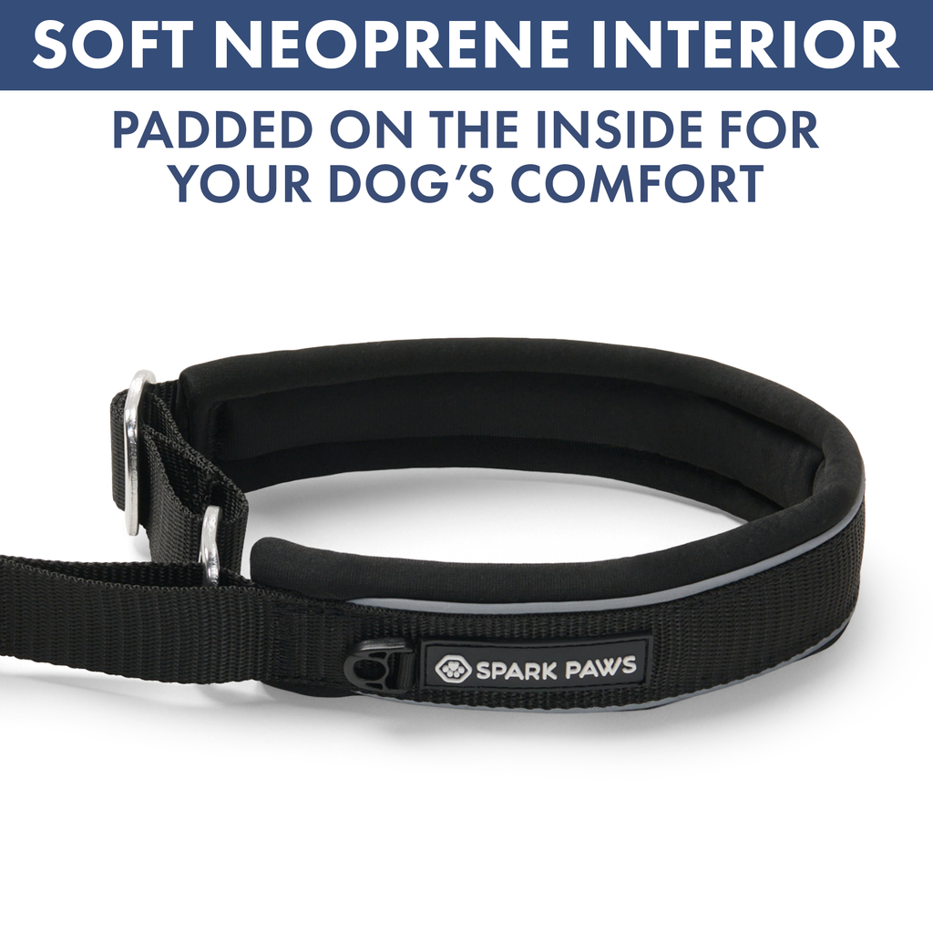 Martingale Dog Collar Set product image 44