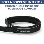 Martingale Dog Collar Set product image 44