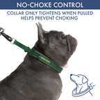 Martingale Dog Collar Set product image 49