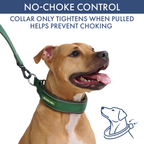 Martingale Dog Collar Set product image 50