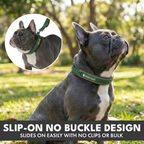 Martingale Dog Collar Set product image 51