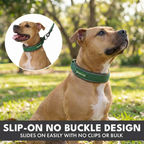 Martingale Dog Collar Set product image 52
