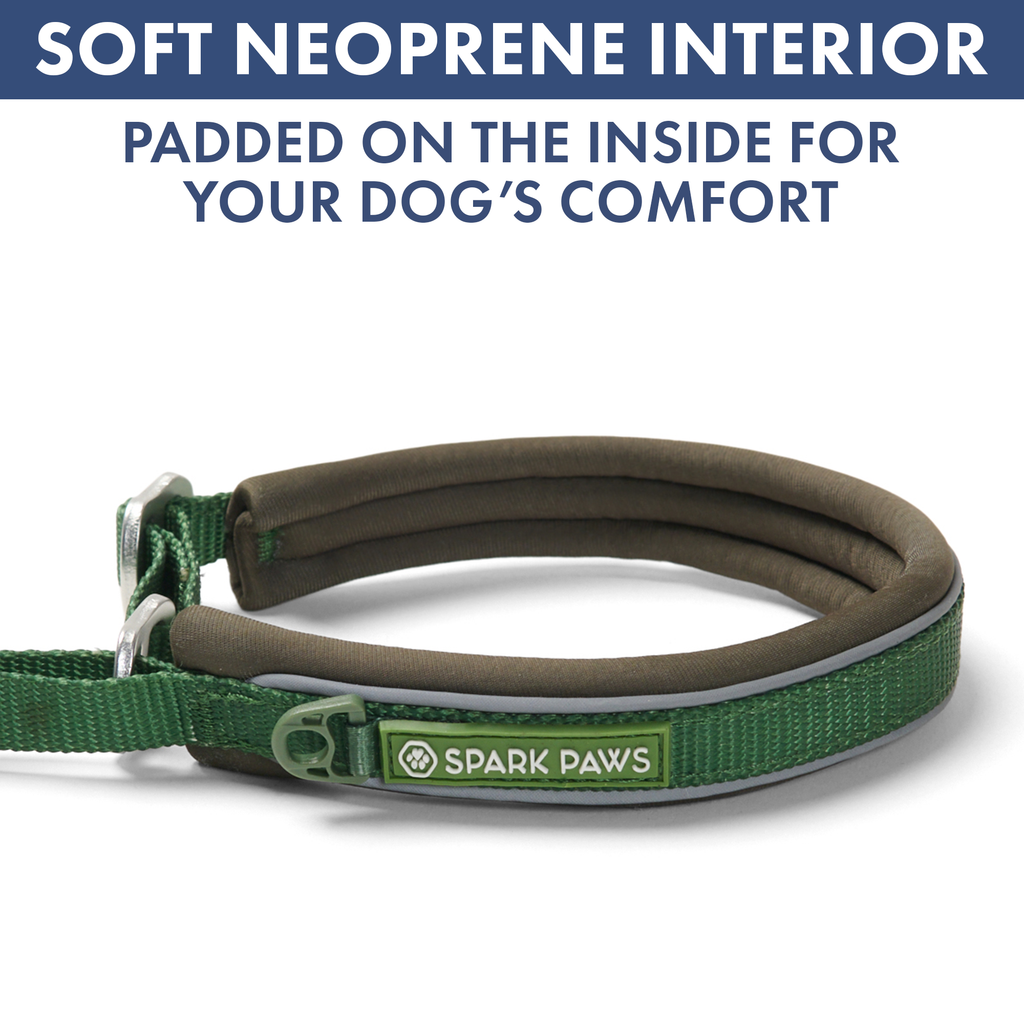 Martingale Dog Collar Set product image 53