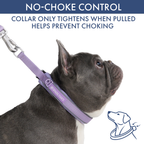Martingale Dog Collar Set product image 58