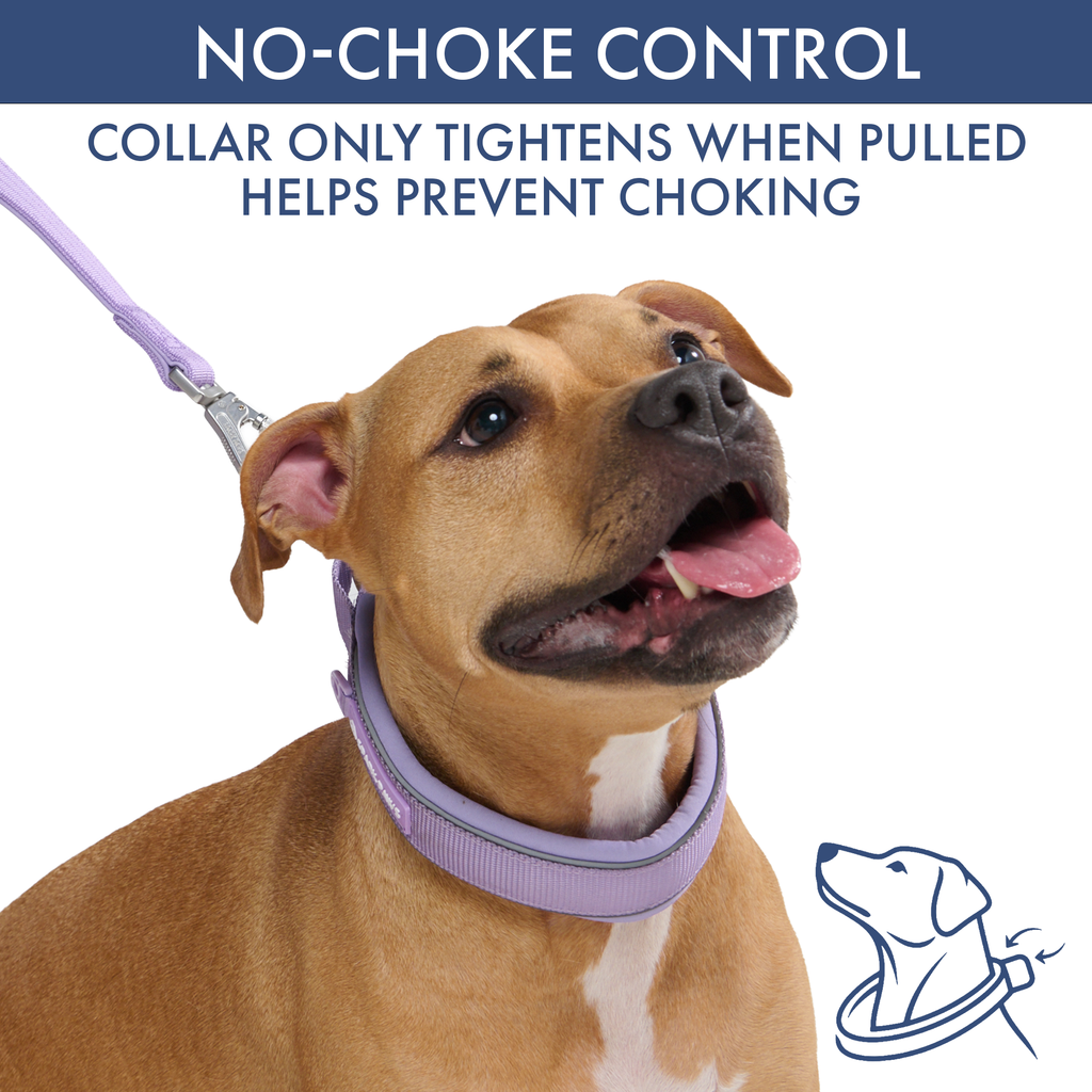 Martingale Dog Collar Set product image 59