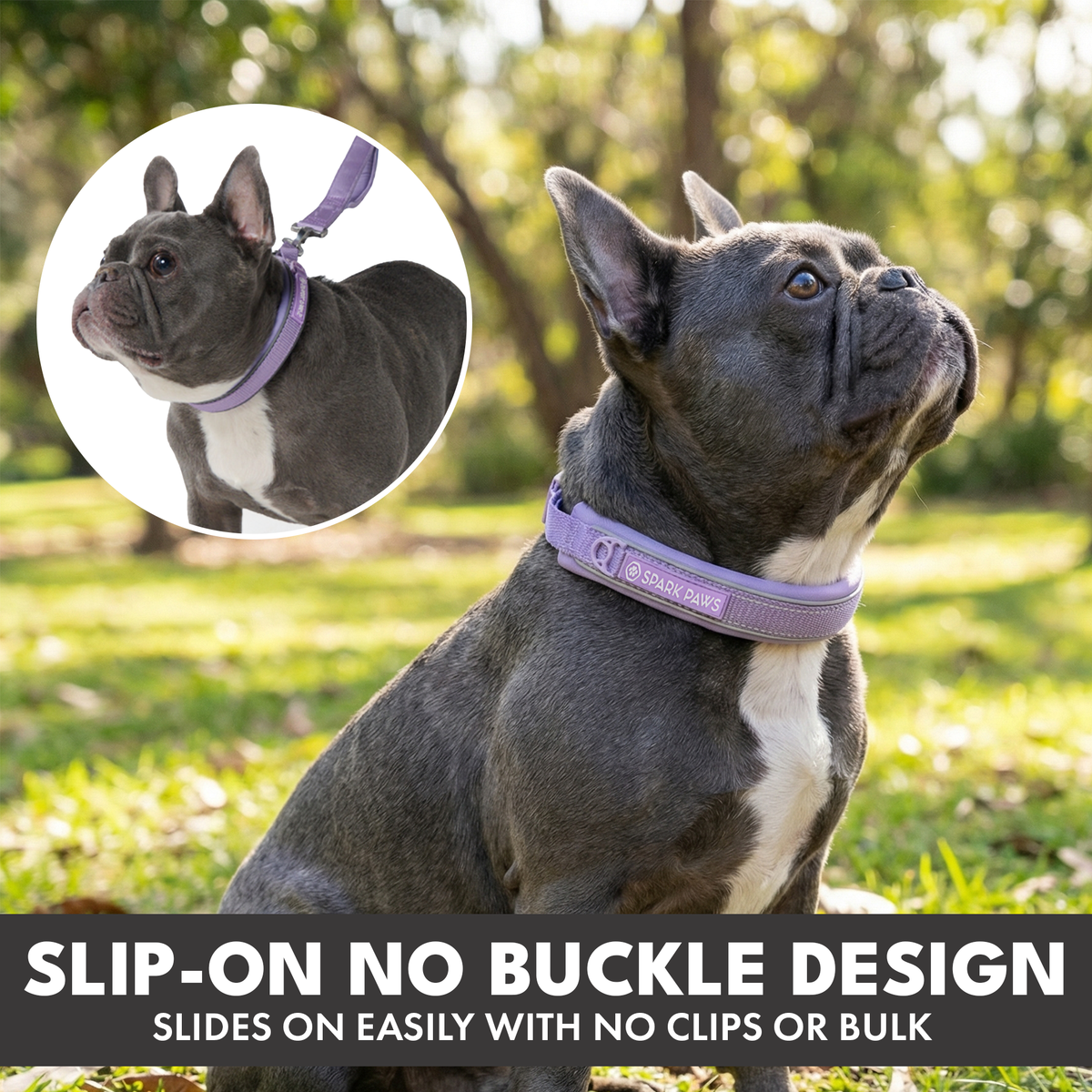 Martingale Dog Collar Set product image 60