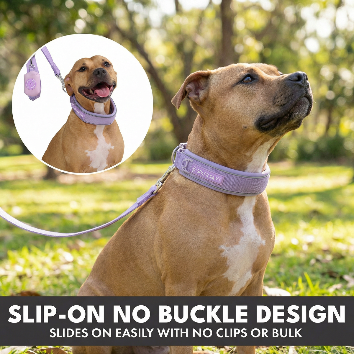 Martingale Dog Collar Set product image 61
