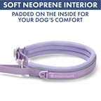 Martingale Dog Collar Set product image 62