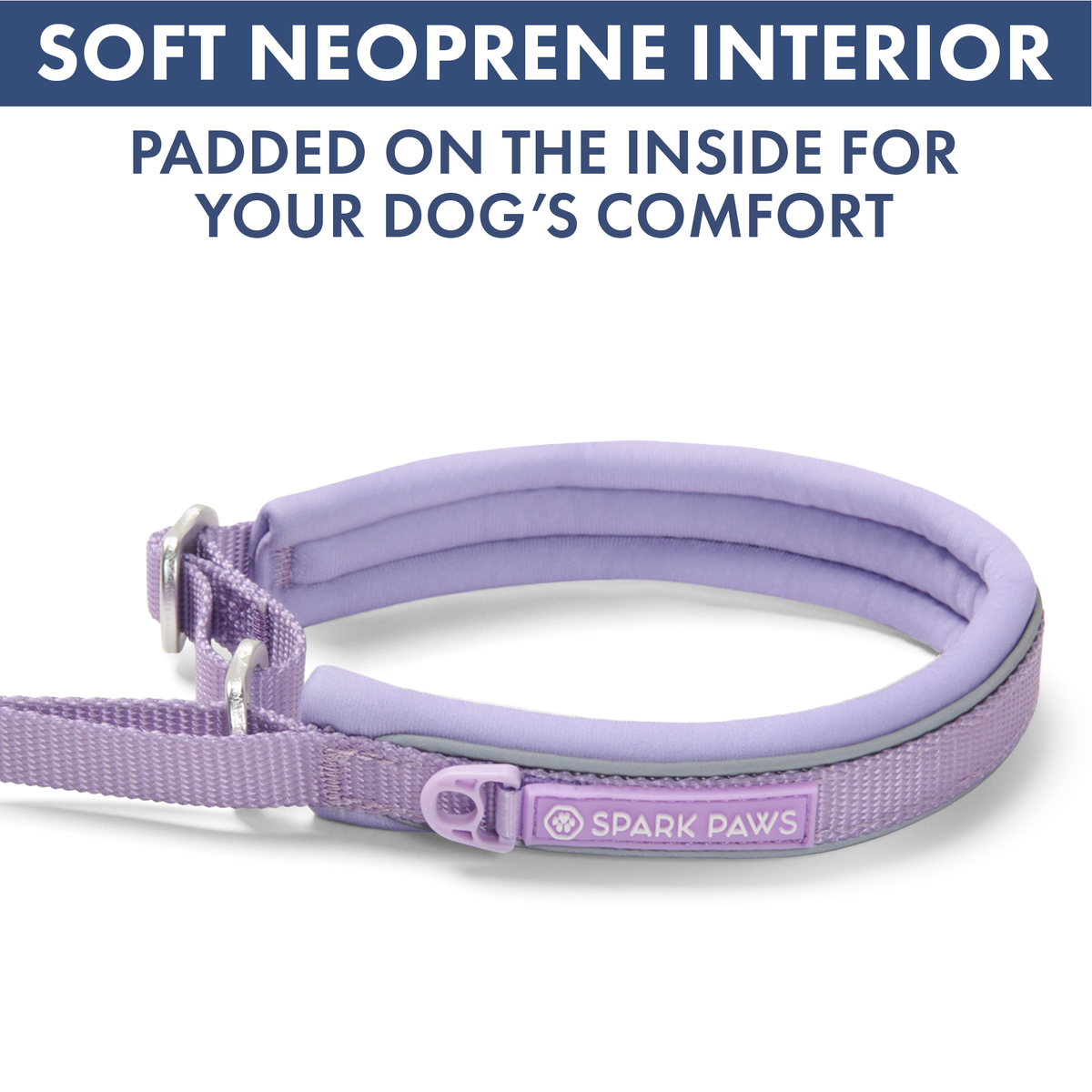 Martingale Dog Collar Set product image 62
