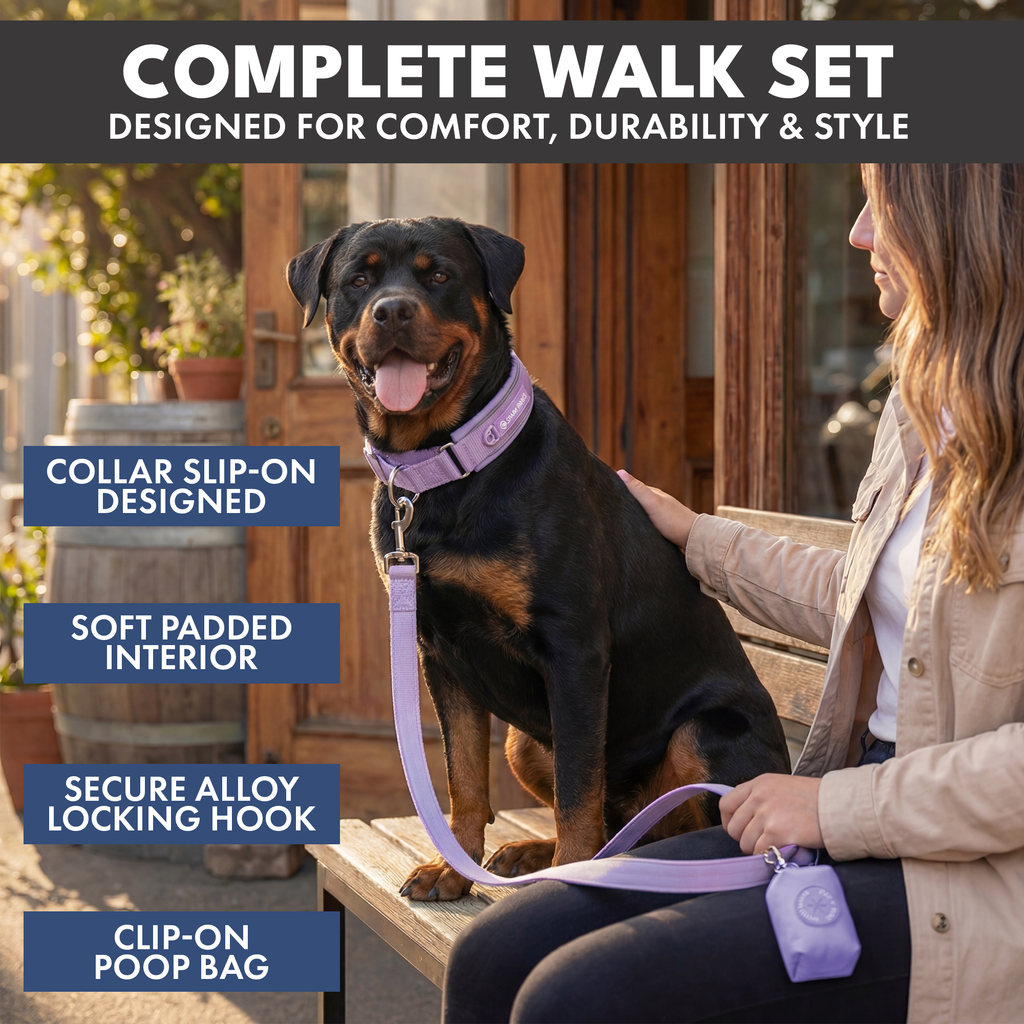 Martingale Dog Collar Set product image 63
