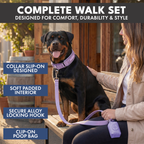 Martingale Dog Collar Set product image 63