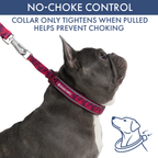 Martingale Dog Collar Set product image 67