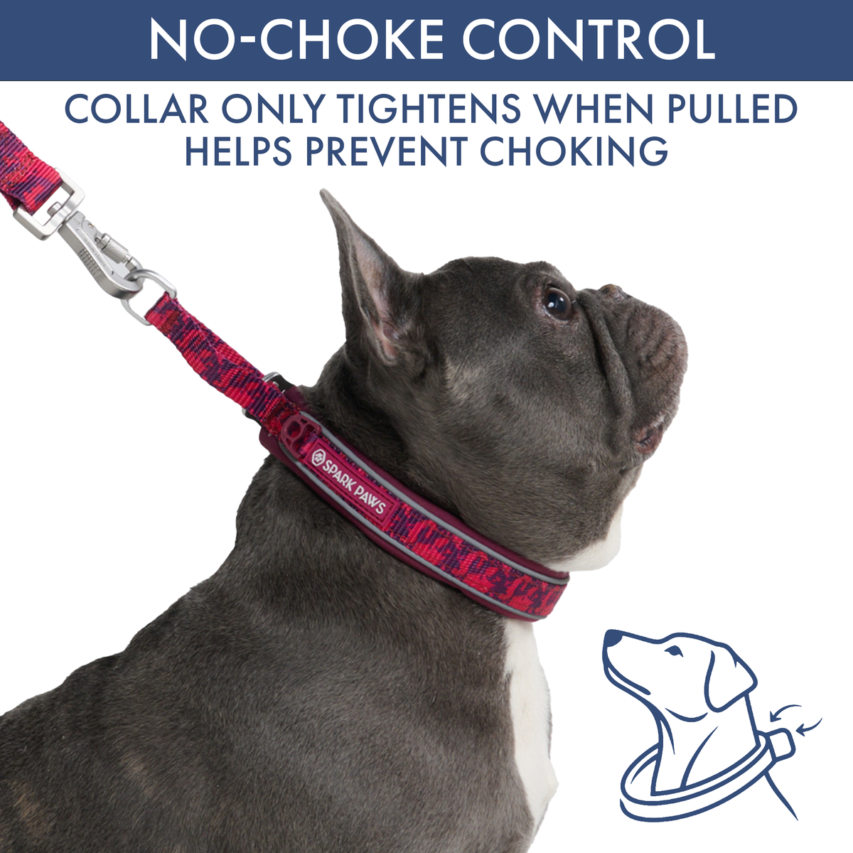 Martingale Dog Collar Set product image 67