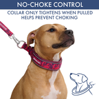 Martingale Dog Collar Set product image 68