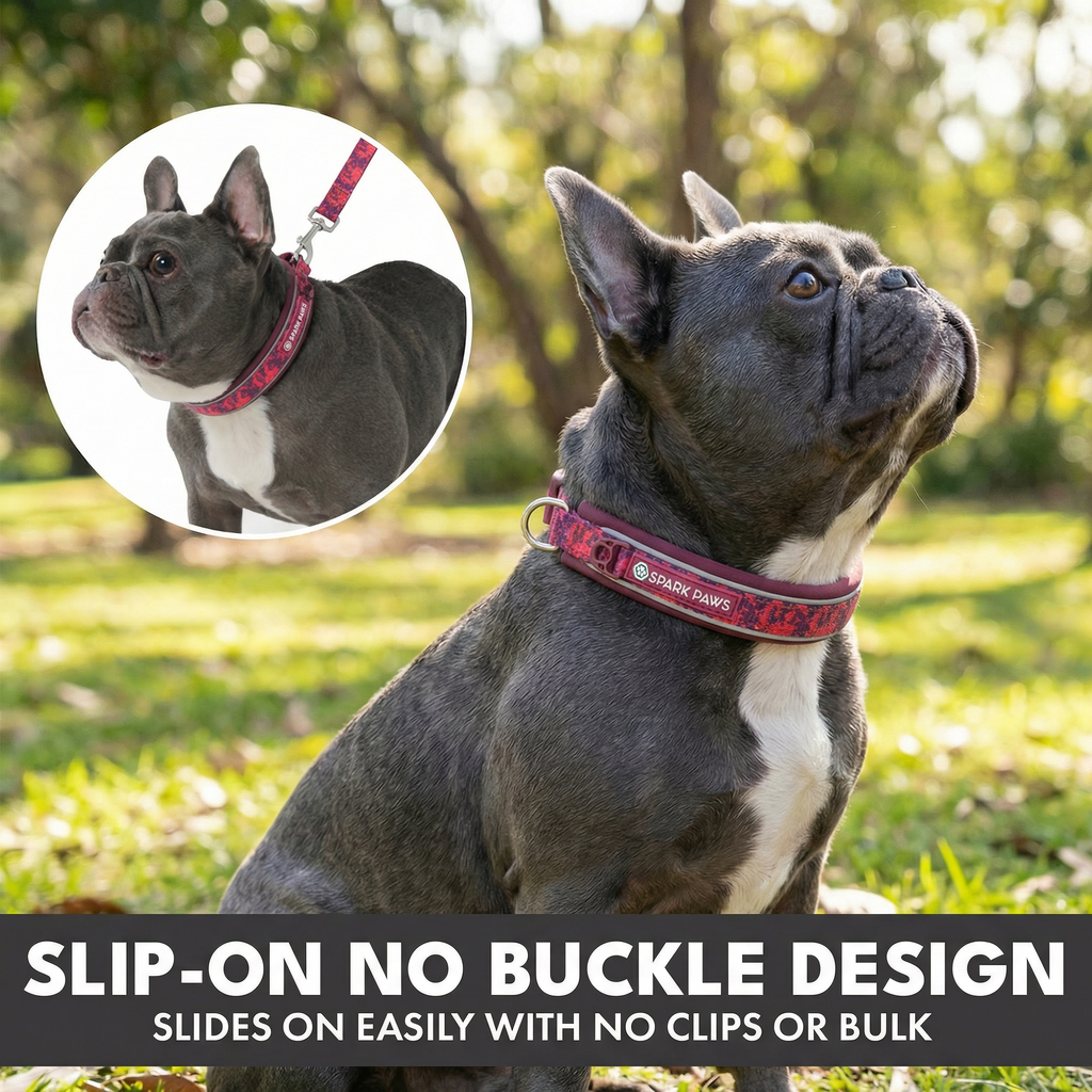 Martingale Dog Collar Set product image 69
