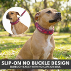 Martingale Dog Collar Set product image 70