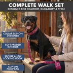 Martingale Dog Collar Set product image 72