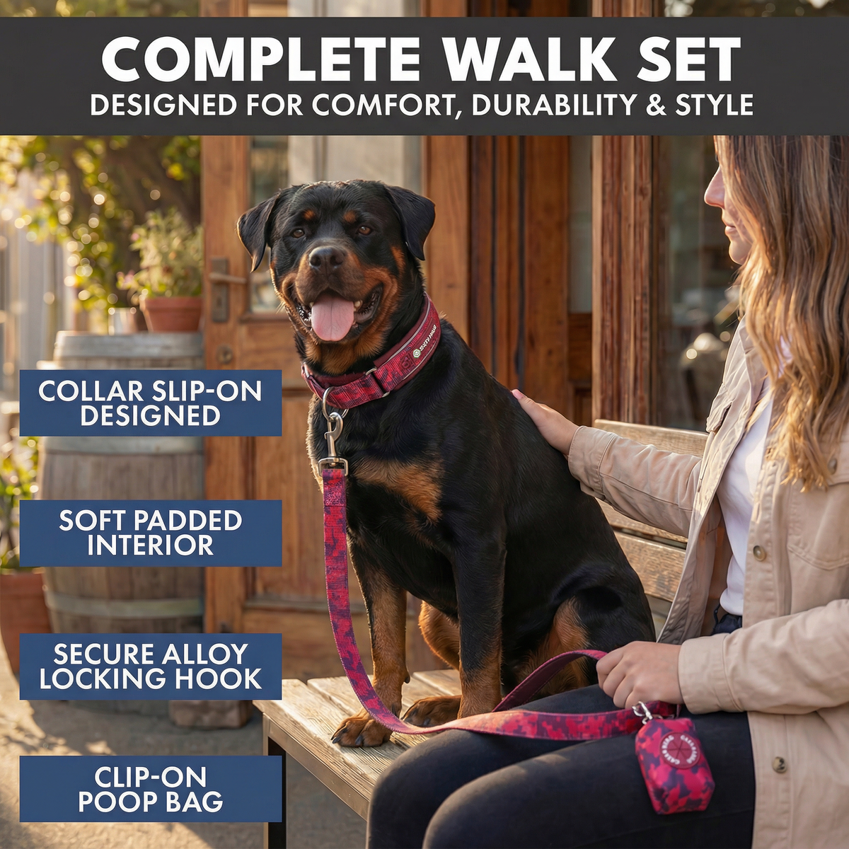 Martingale Dog Collar Set product image 72