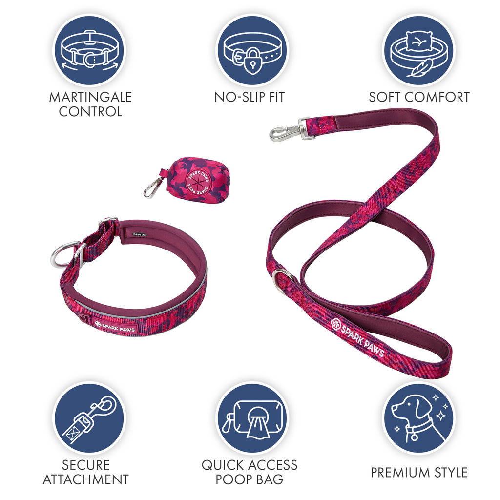 Martingale Dog Collar Set product image 73