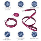 Martingale Dog Collar Set product image 73