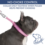 Martingale Dog Collar Set product image 76