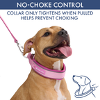 Martingale Dog Collar Set product image 77
