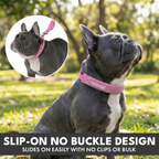 Martingale Dog Collar Set product image 78