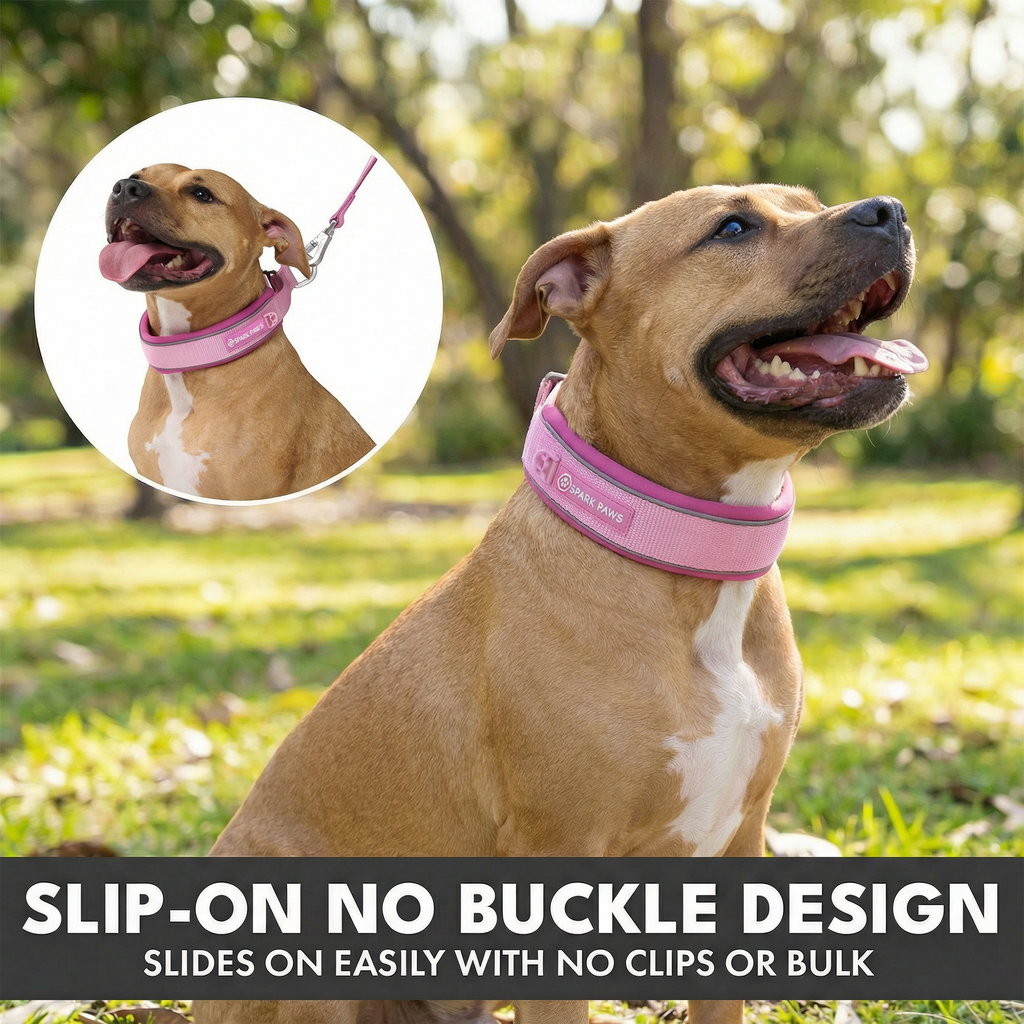 Martingale Dog Collar Set product image 79