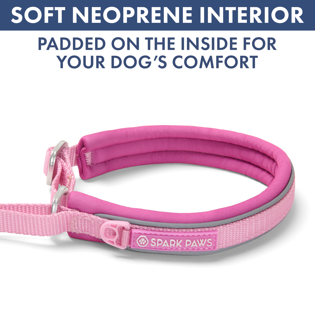 Martingale Dog Collar Set product image 80