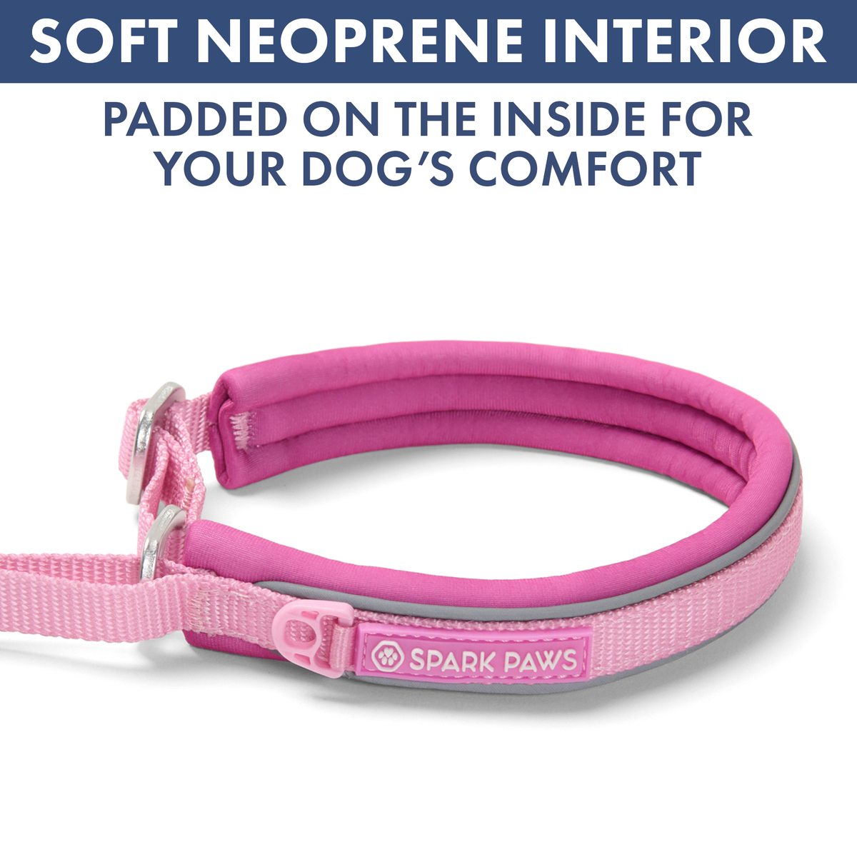 Martingale Dog Collar Set product image 80