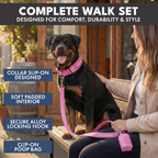 Martingale Dog Collar Set product image 81
